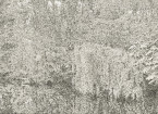 Landschaft / Am See / Bleistift auf Papier